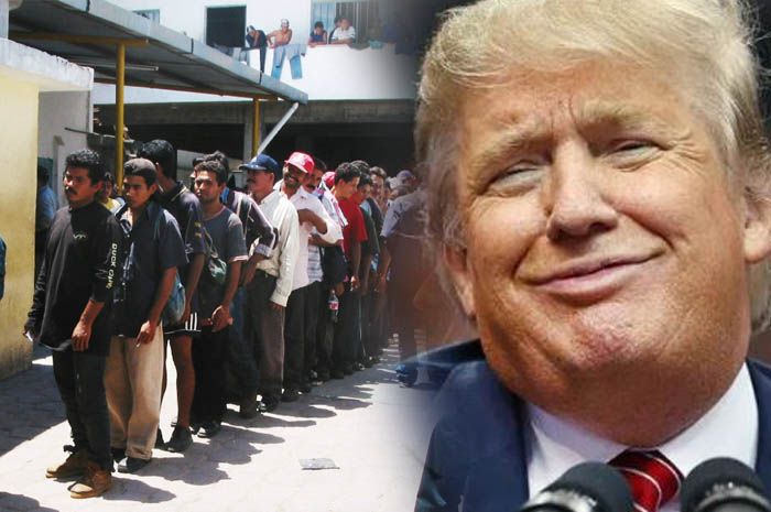 Ilustrasi Trump dan Imigran gelap