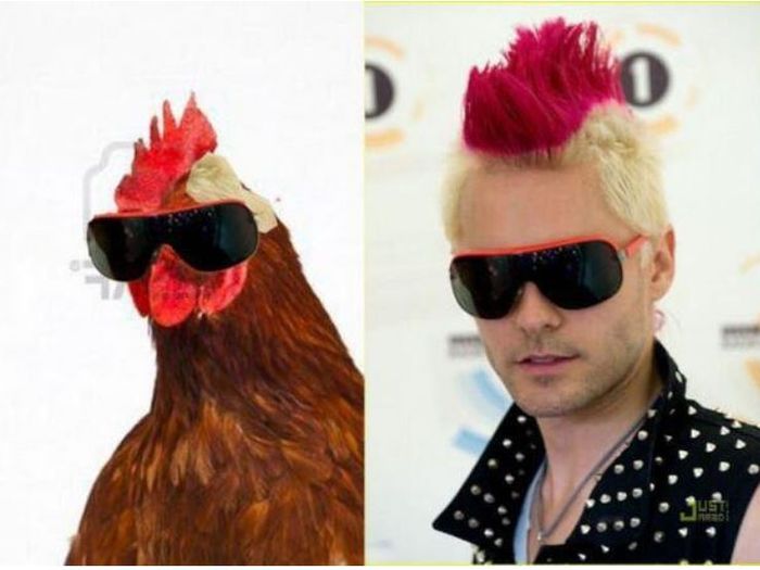 Tren busana nyleneh yang pernah ada 