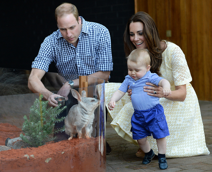 Prince William, Kate Middleton, Prince George