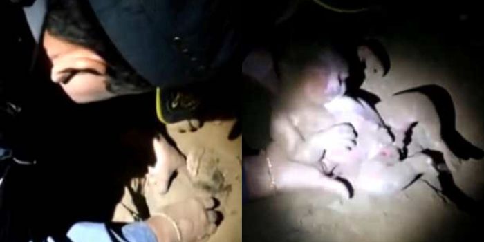 Bayi yang masih hidup meski telah dikubur di tanah