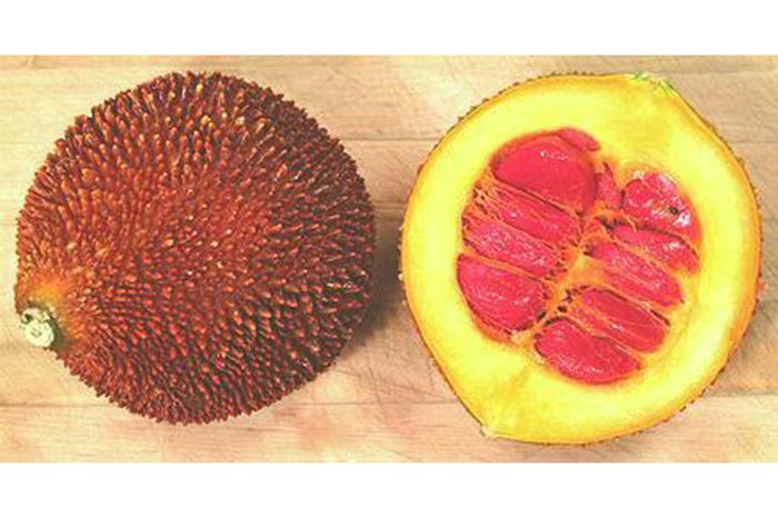 Momordica cochinchinensis.