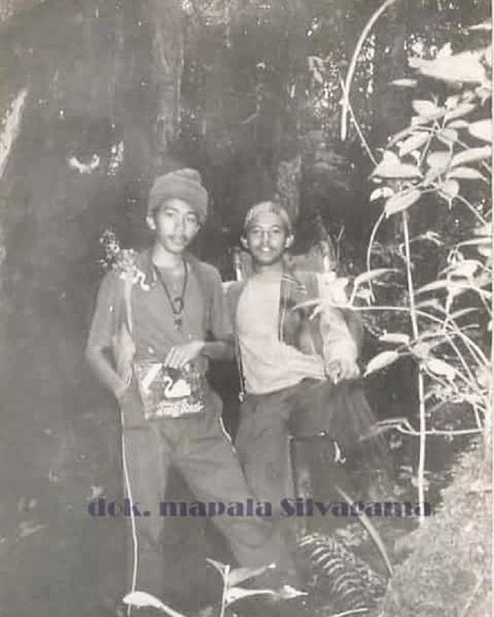 Jokowi Muda