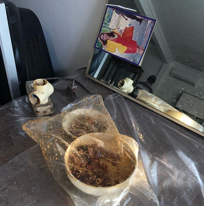 Makanan berbelatung di rumah Nia Daniaty