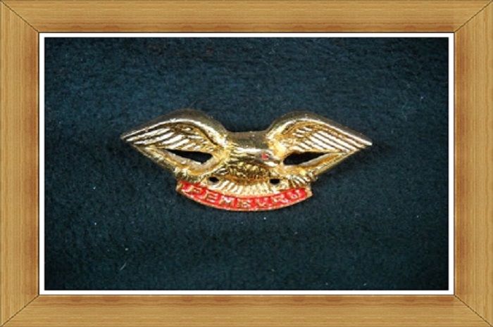 Brevet Rajawali
