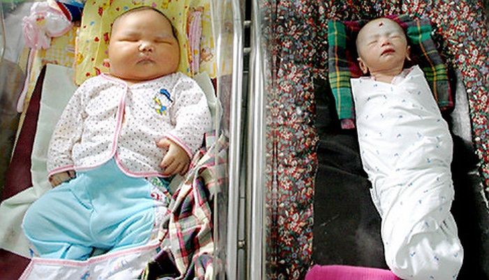 Bayi terbesar dari Indonesia
