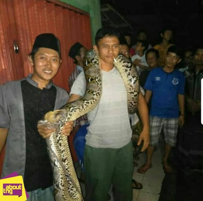 Inikah Arya Wiguna?