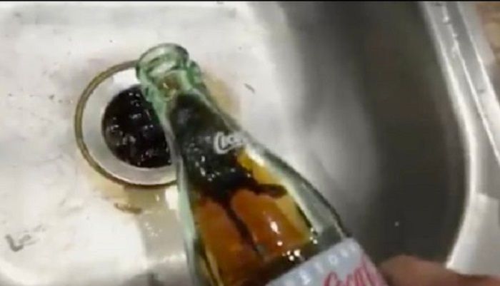 tikus mati di botol Cola