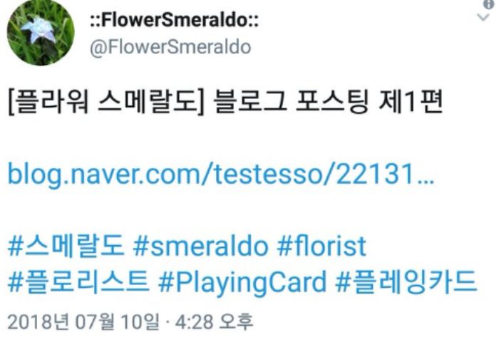 cuitan akun Flower Smeraldo