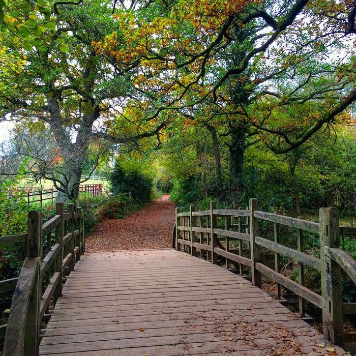 The Ashdown Forest, negaranya Winnie the Pooh