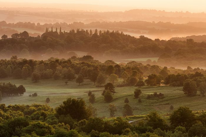 Ashdown Forest