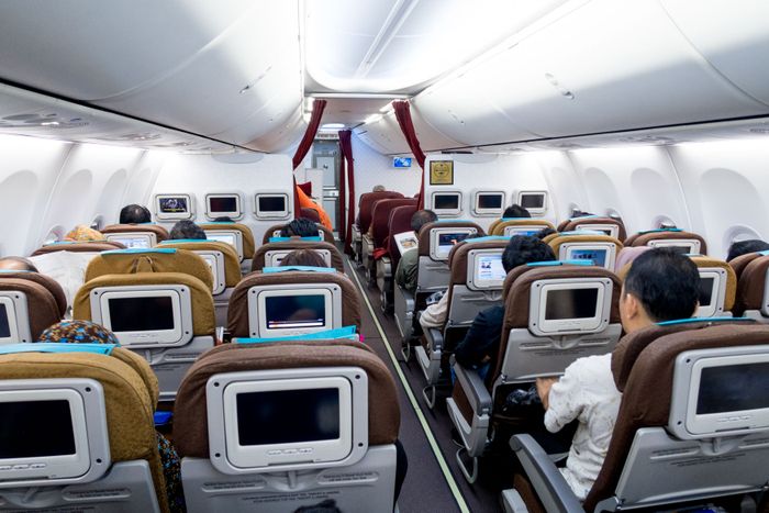 Kabin kelas ekonomi Garuda Indonesia 737-800