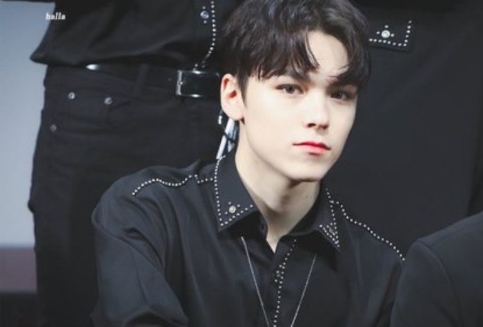 Vernon SEVENTEEN