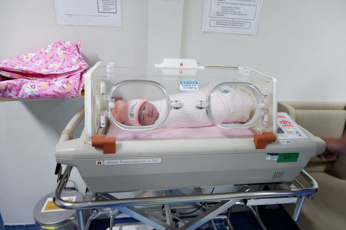 Dokumen Pribadi Bobby Nasution