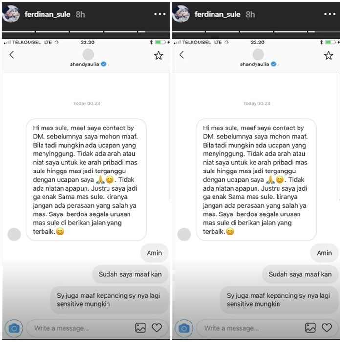 Respon Sule saat Shandy Aulia minta maaf