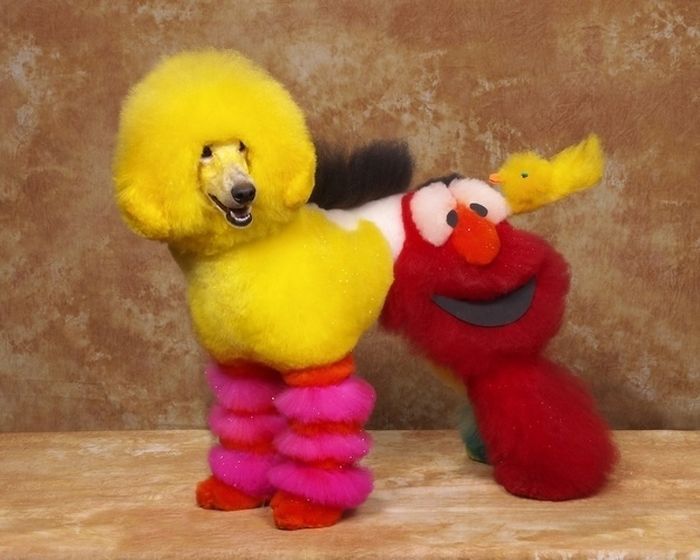 Elmo