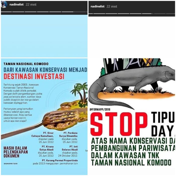 Nadine Chandrawinata tunjukkan kepedulian akan TNK Komodo