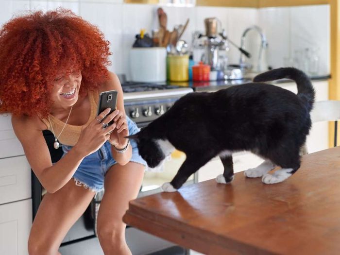 Kucing tak suka menjadi bintang Instagram