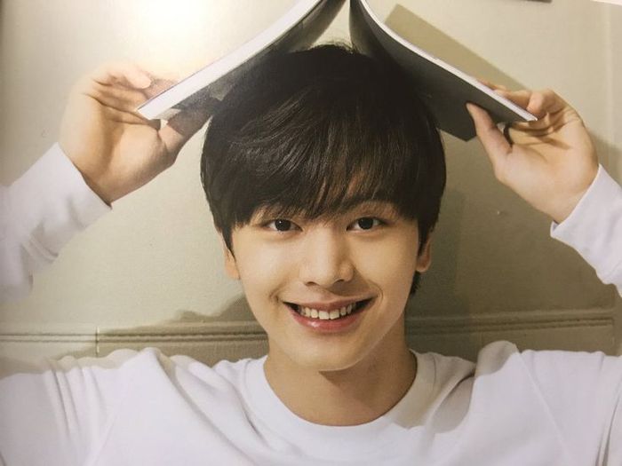 Sungjae 'BTOB'