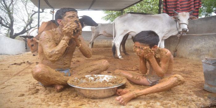 Hermant <a href='https://jabar.tribunnews.com/tag/mandi' title='mandi'>mandi</a> dengan <a href='https://jabar.tribunnews.com/tag/kotoran' title='kotoran'>kotoran</a> <a href='https://jabar.tribunnews.com/tag/sapi' title='sapi'>sapi</a> setiap hari Minggu.