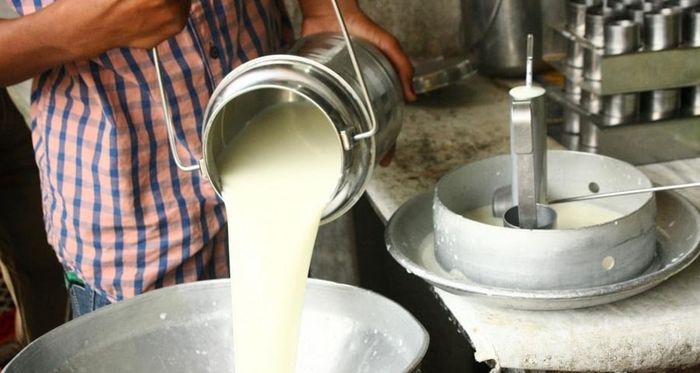 susu murni