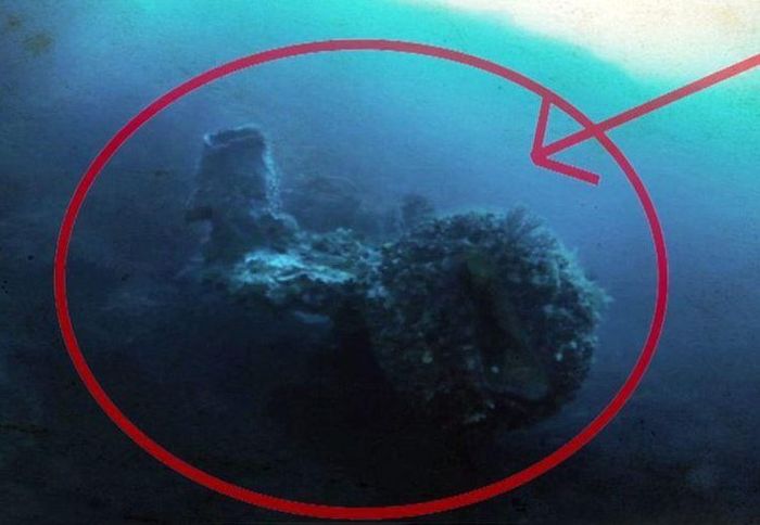 Obyek misterius yang ditemukan Darrell Miklos.