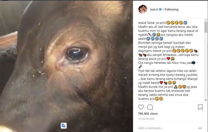 Postingan Inul Daratista - Instagram/inul.d