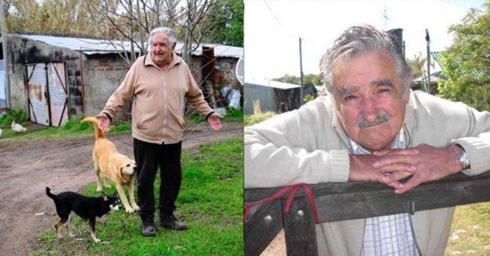 Peliharaan Jose Mujica