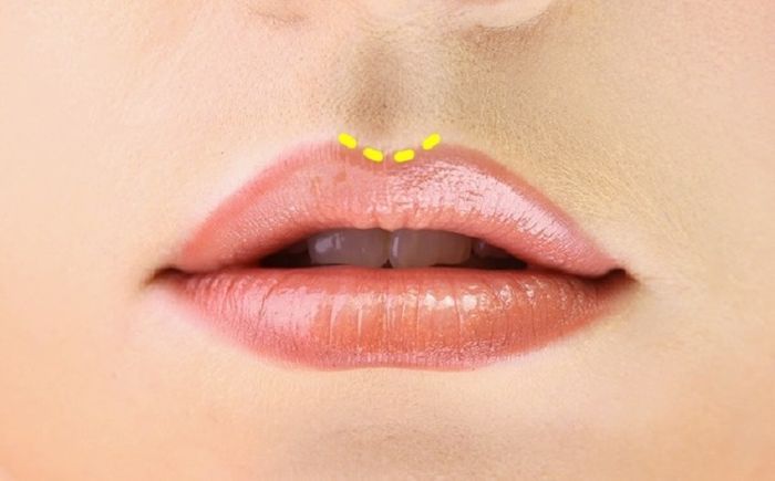 Lekukan bibir agak bulat