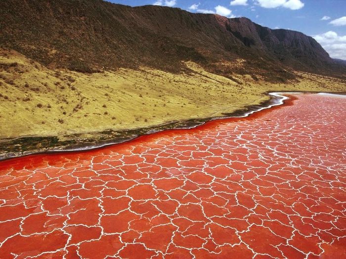 Danau Natron di Tanzania.