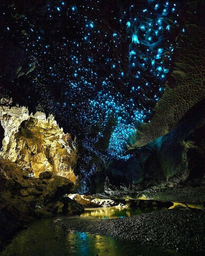Gua Waitomo Glowworm.