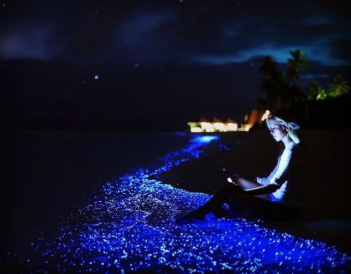 Pulau Vaadhoo di Maladewa.