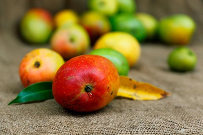 Mangga