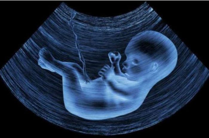 Tali pusar menyalurkan oksigen untuk janin