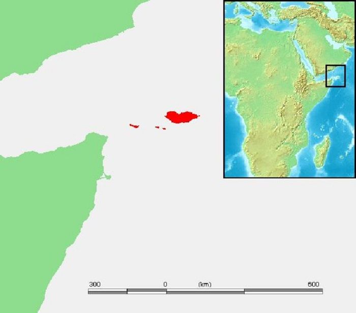 Lokasi Socotra