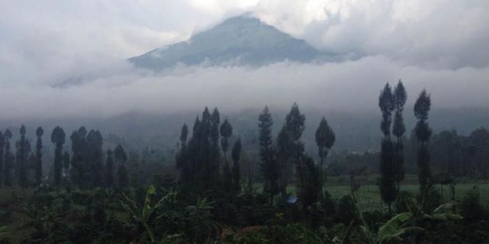  Gunung Sumbing (3.371 mdpl) dilihat dari Jalan Raya Parakan - Wonosobo, Jawa Tengah, Senin (16/5/2016) sore.