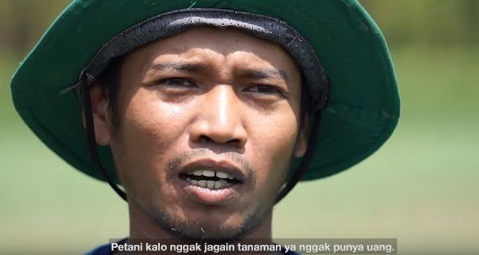 iklan Jokowi di bioskop