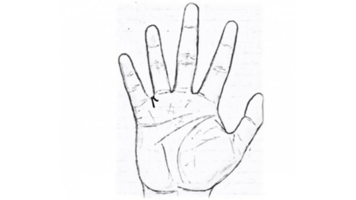 v