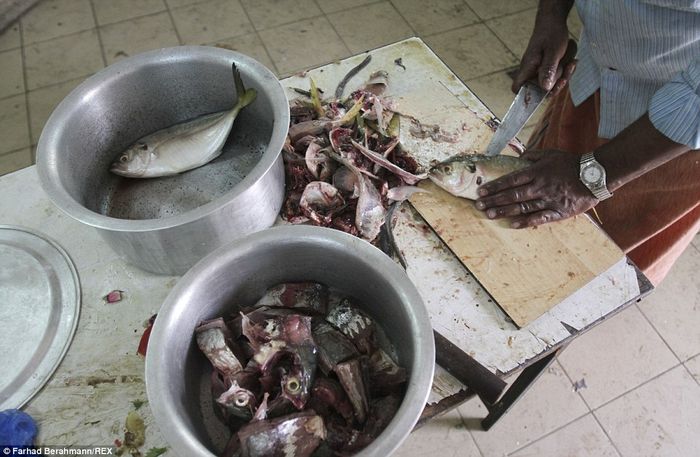 Ikan kotor jadi makanan.