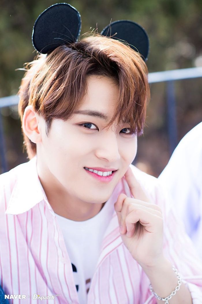 Mingyu 'SEVENTEEN'