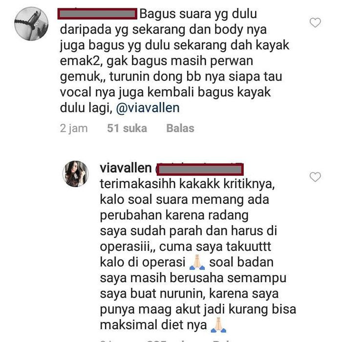 Tanggapan dan Klarifikasi Via Vallen di kolom komentar instagram