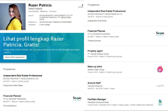 Pengalaman kerja Razer Patricia