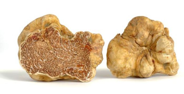 Italian (white) Alba Truffles