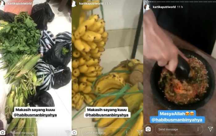 Instagram Story Kartika Putri