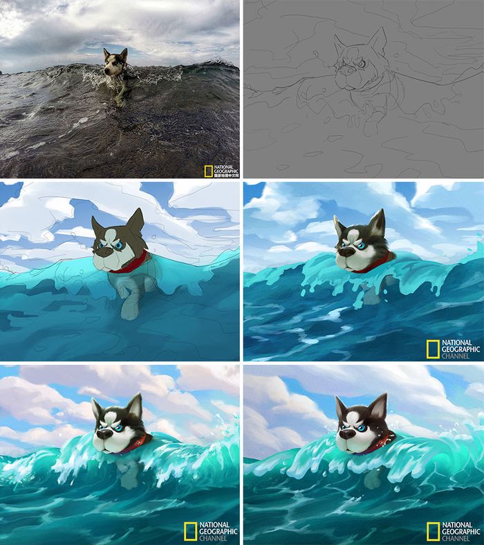 Siberian husky