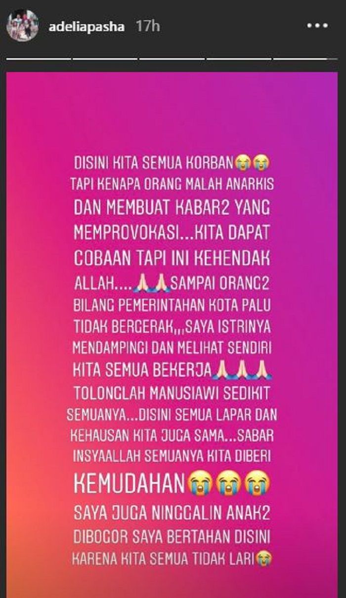 Screenshot Instagram Story/ adeliapasha