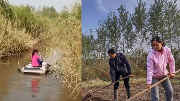 Zhu dan istri sedang bekerja di ladang mereka. 