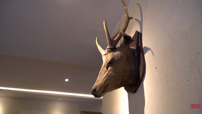 kepala rusa