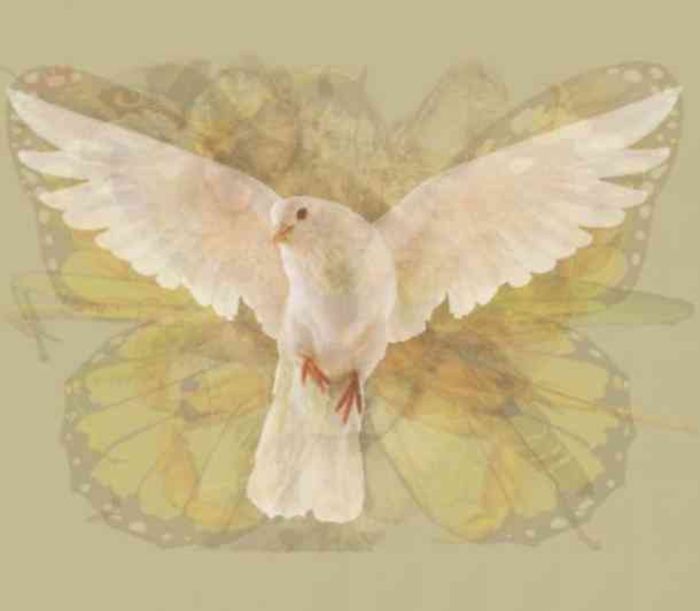 Burung merpati
