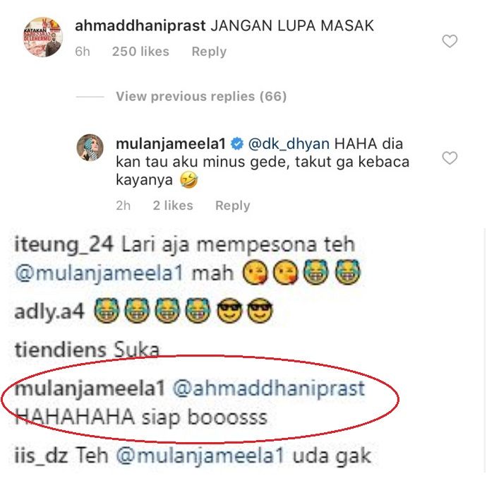 Mulan Jameela dan Ahmad Dhani berbalas komentar di Instagram