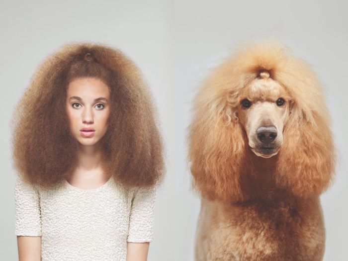 Keriting dan mekar tergerai